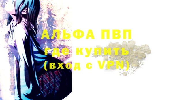 хмурый Верея