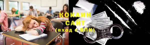 хмурый Верея
