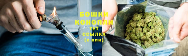 хмурый Верея