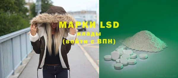 хмурый Верея