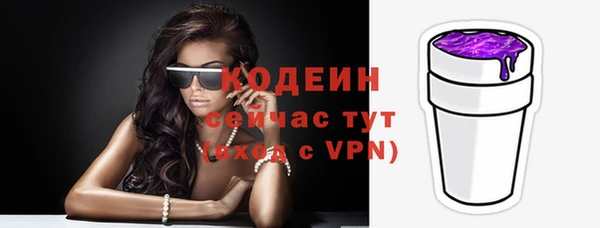 хмурый Верея