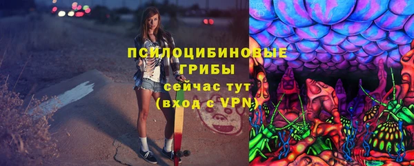 хмурый Верея