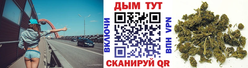 Купить где  Сосногорск  Конопля сатива 